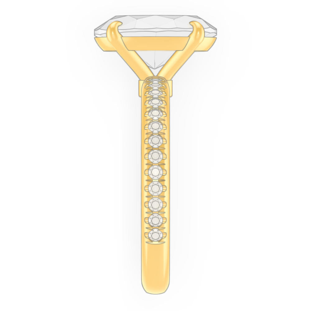 signature-ring