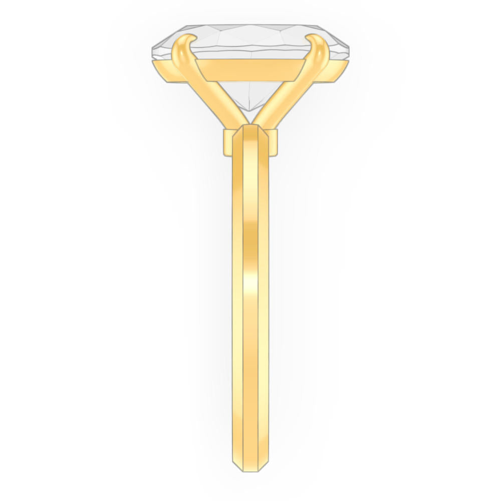 signature-ring