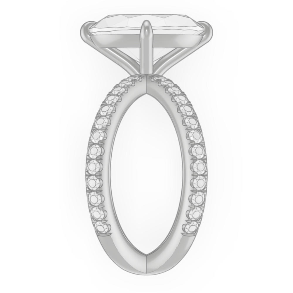 signature-ring