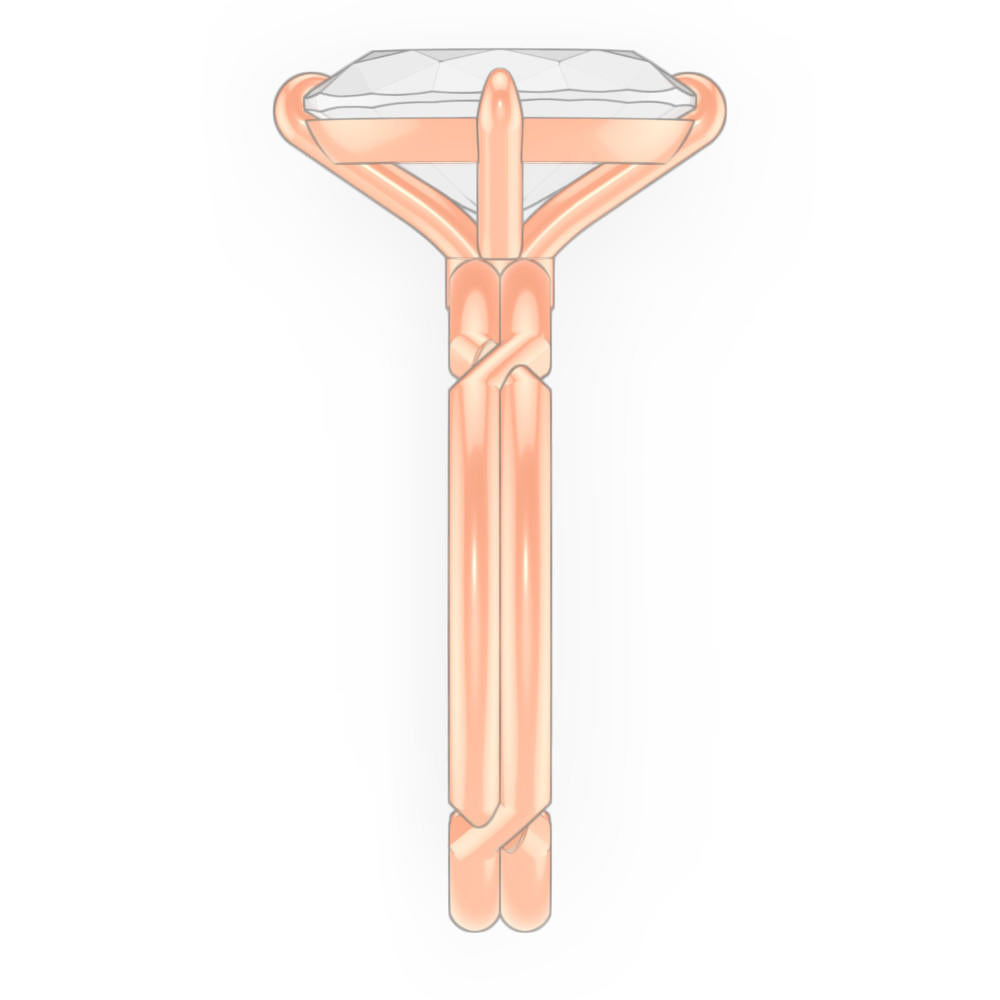 signature-ring