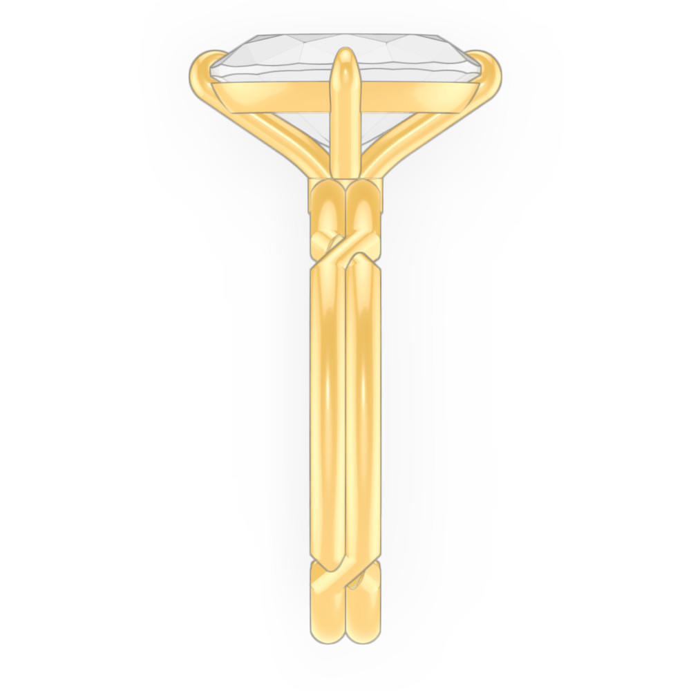 signature-ring