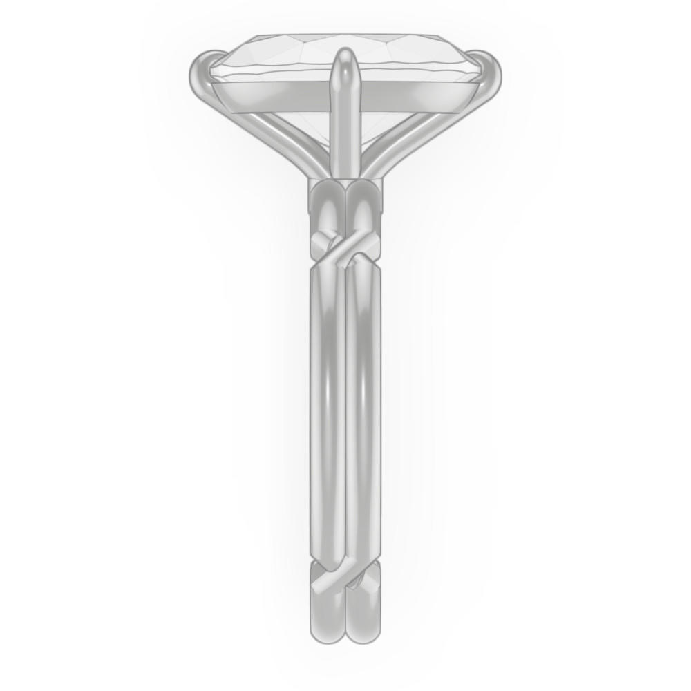 signature-ring