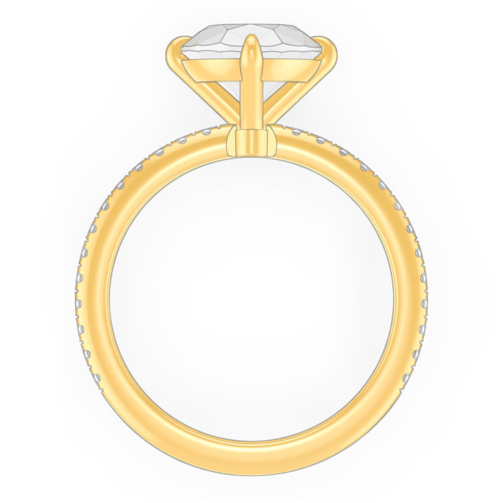 signature-ring