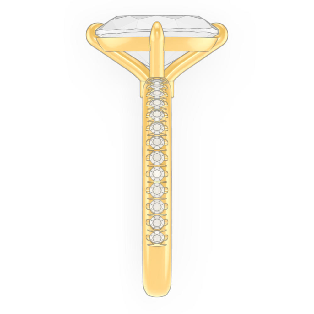 signature-ring