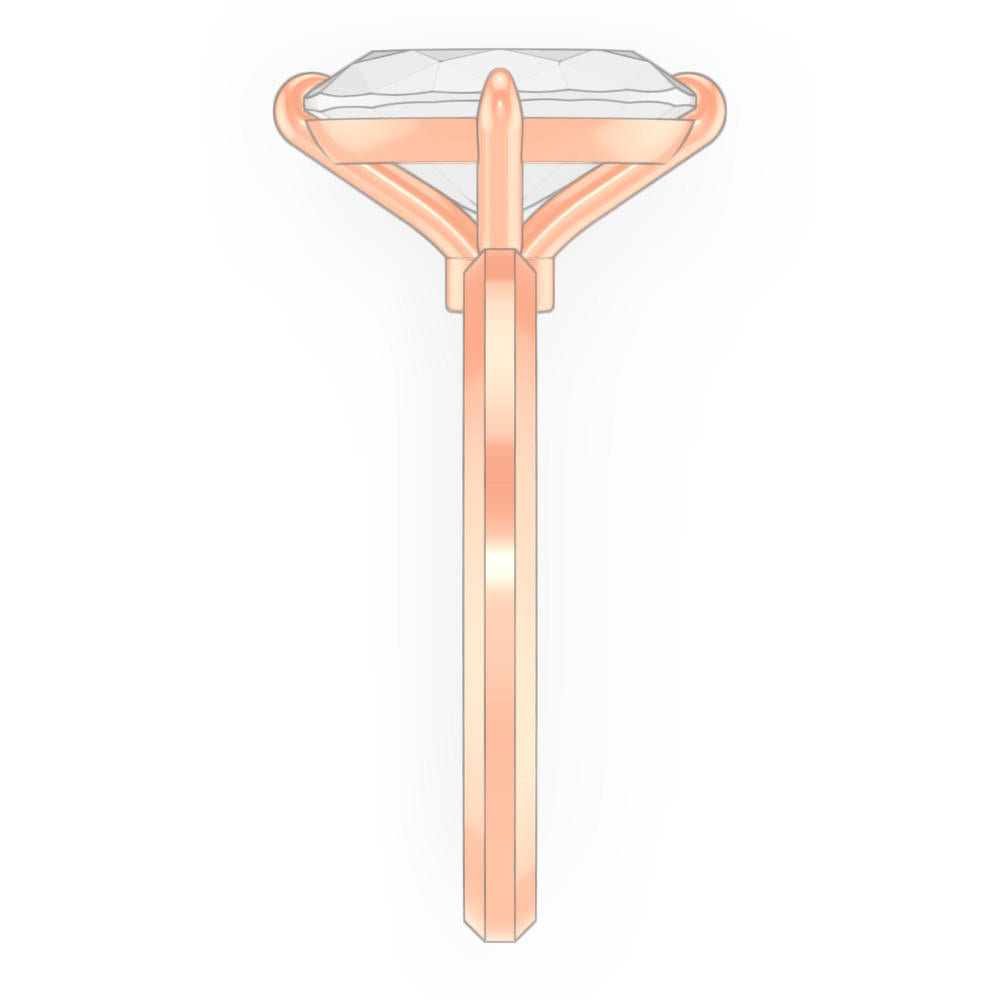 signature-ring