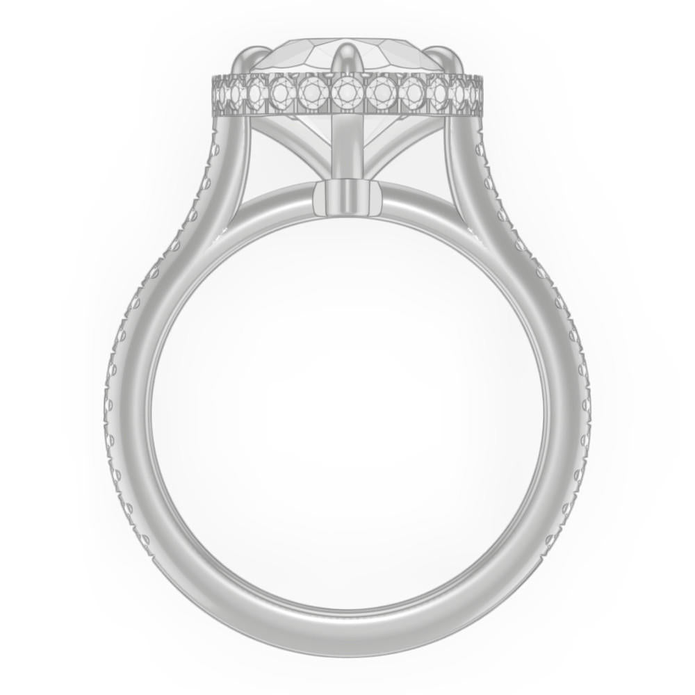 signature-ring