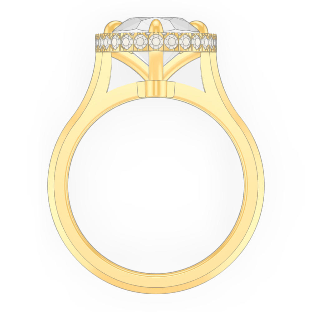 signature-ring