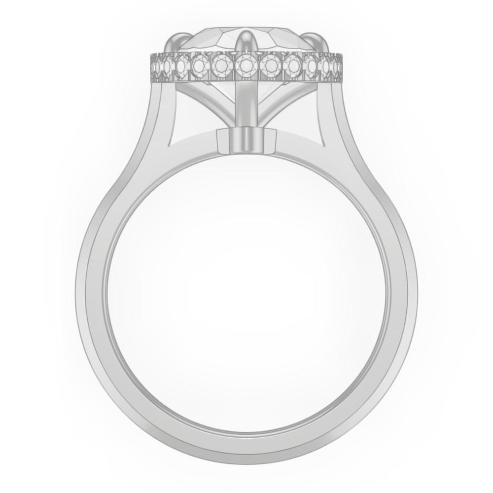 signature-ring