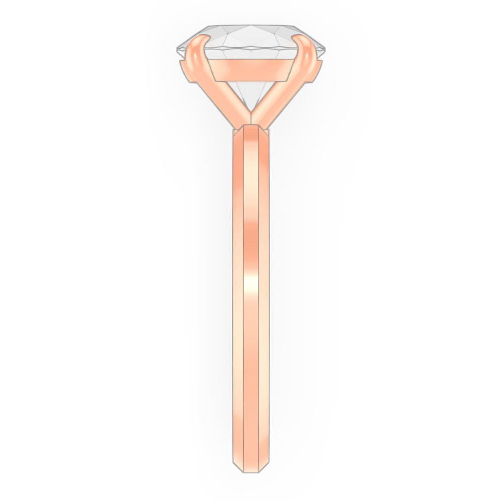 signature-ring