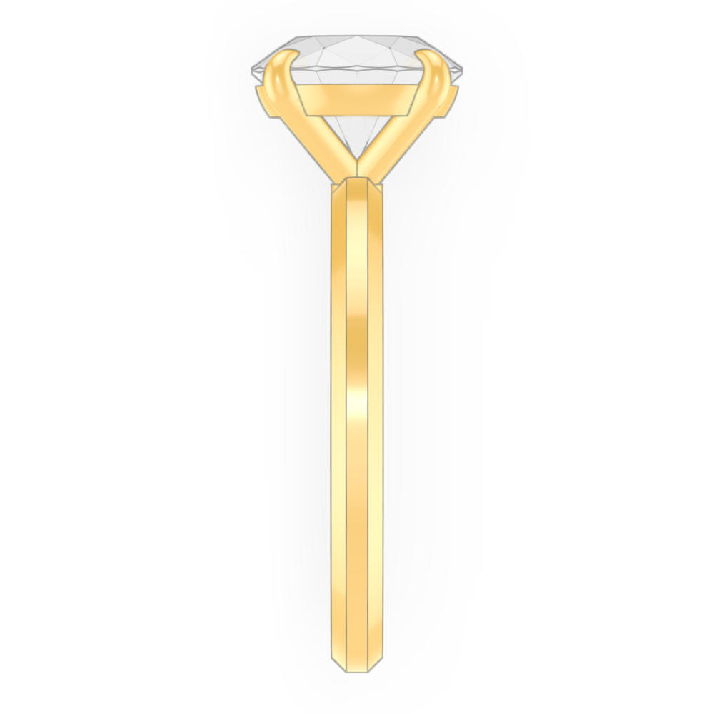 signature-ring