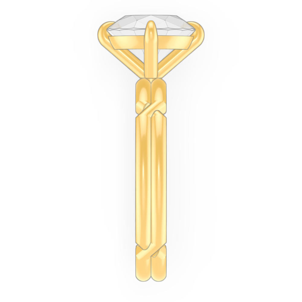 signature-ring