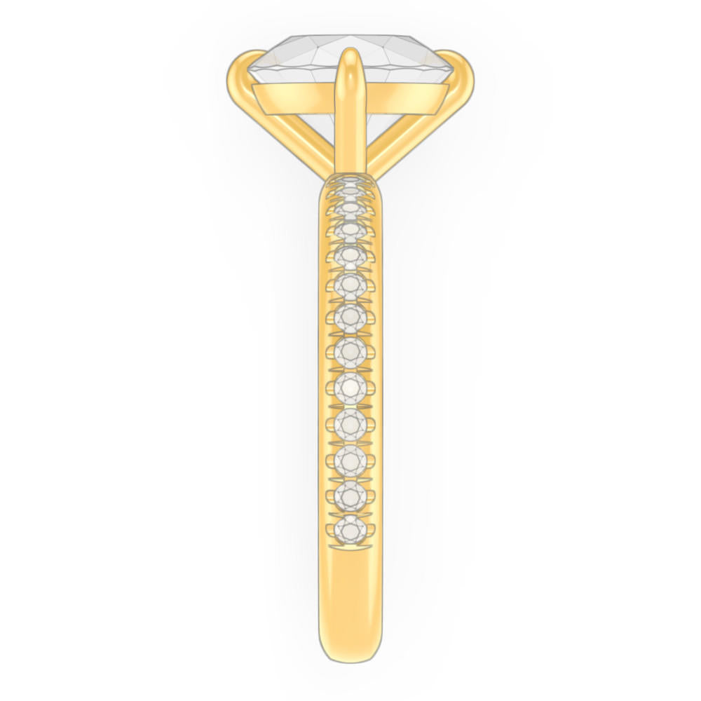 signature-ring