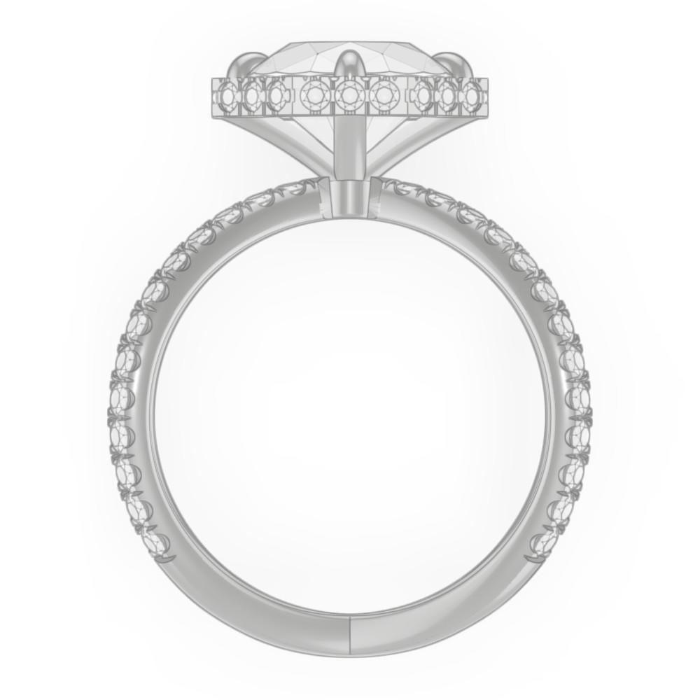 signature-ring
