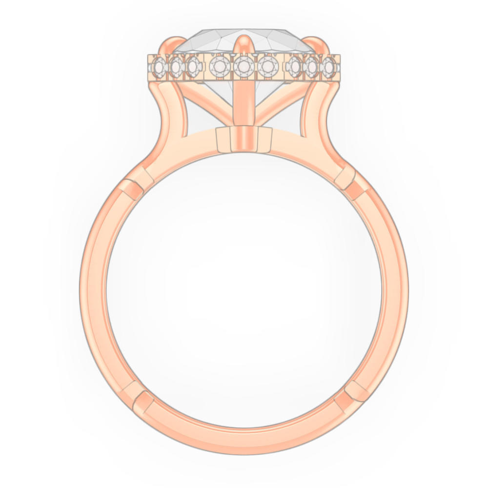 signature-ring