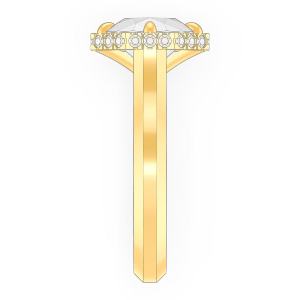 signature-ring
