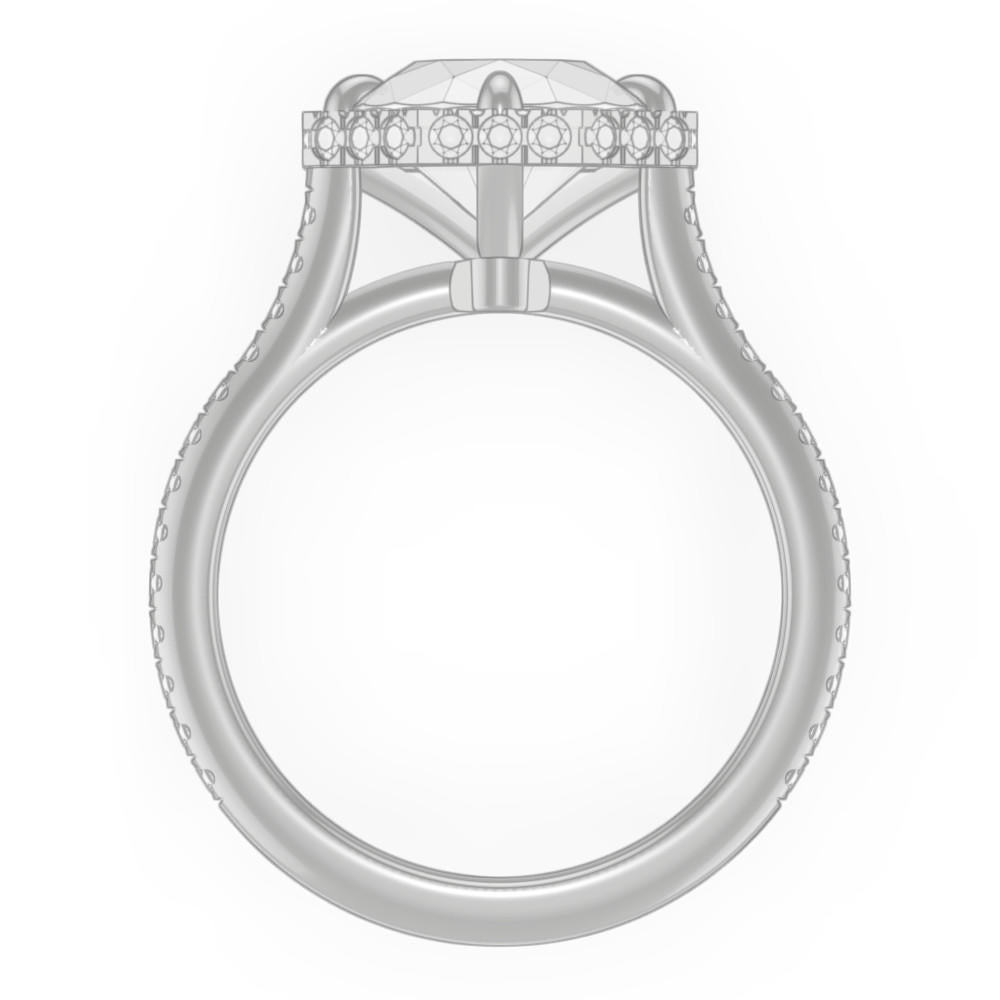 signature-ring