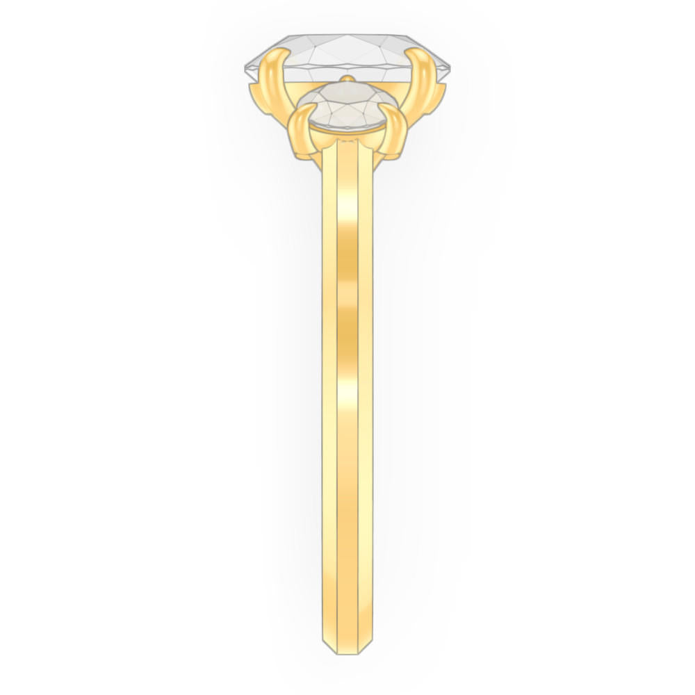 signature-ring