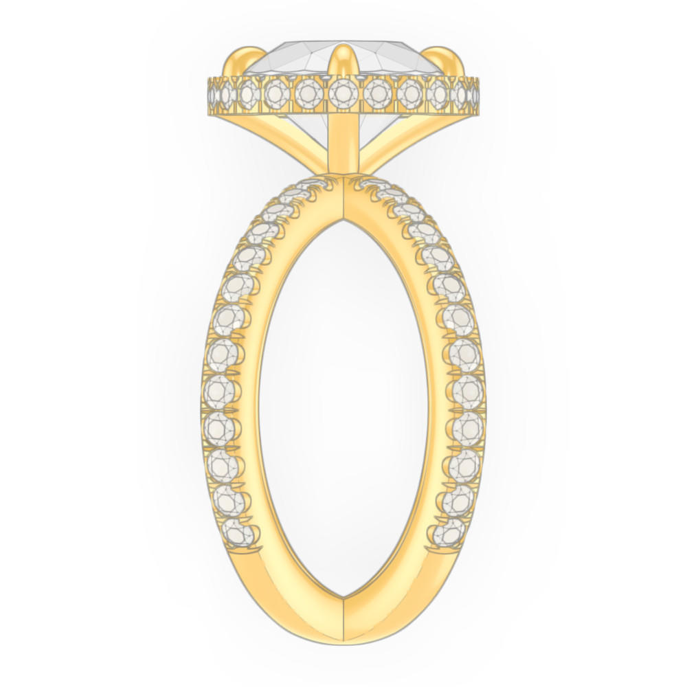 signature-ring