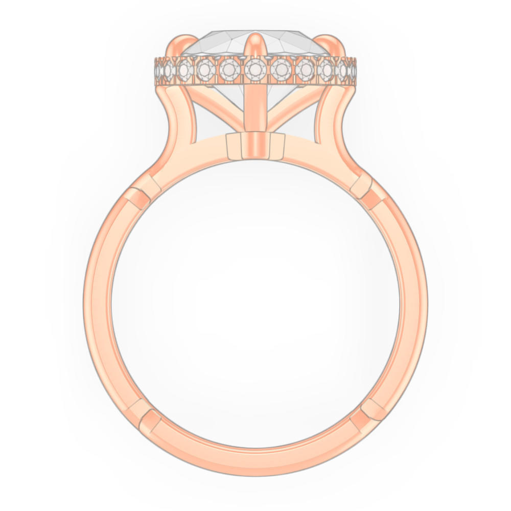 signature-ring