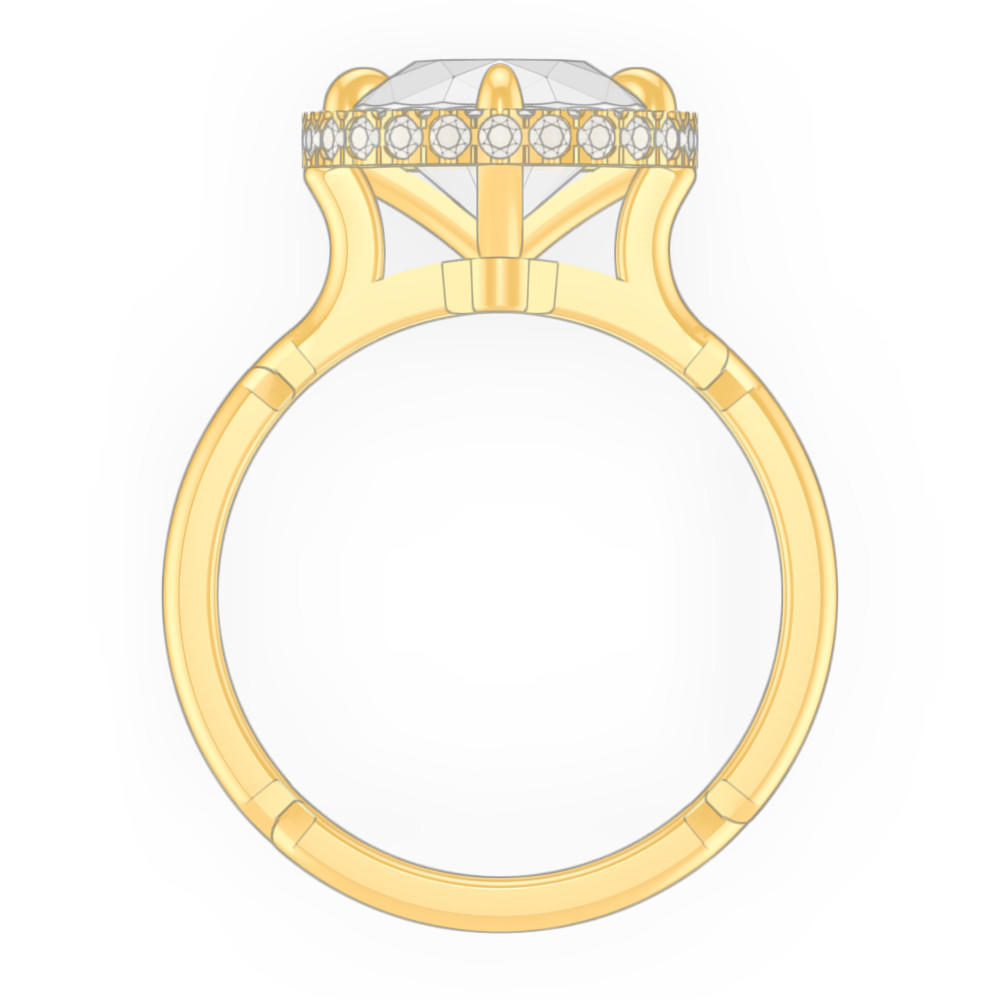 signature-ring