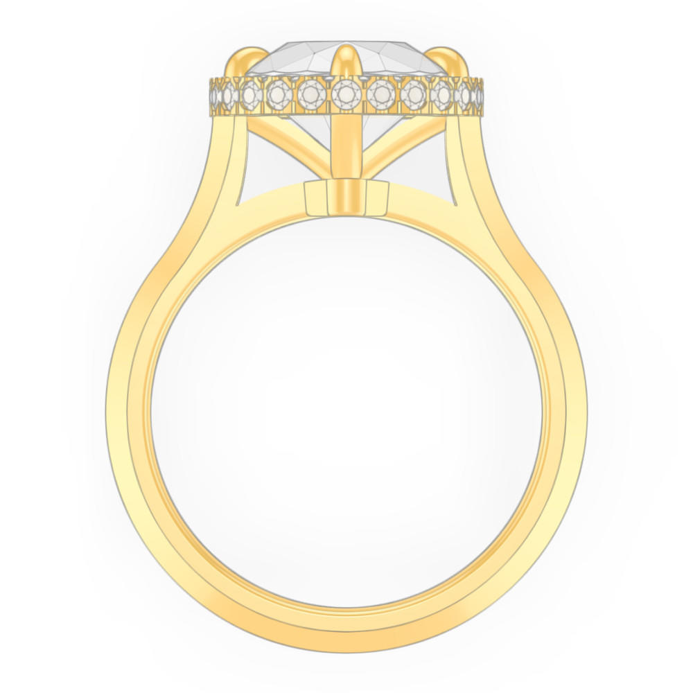 signature-ring