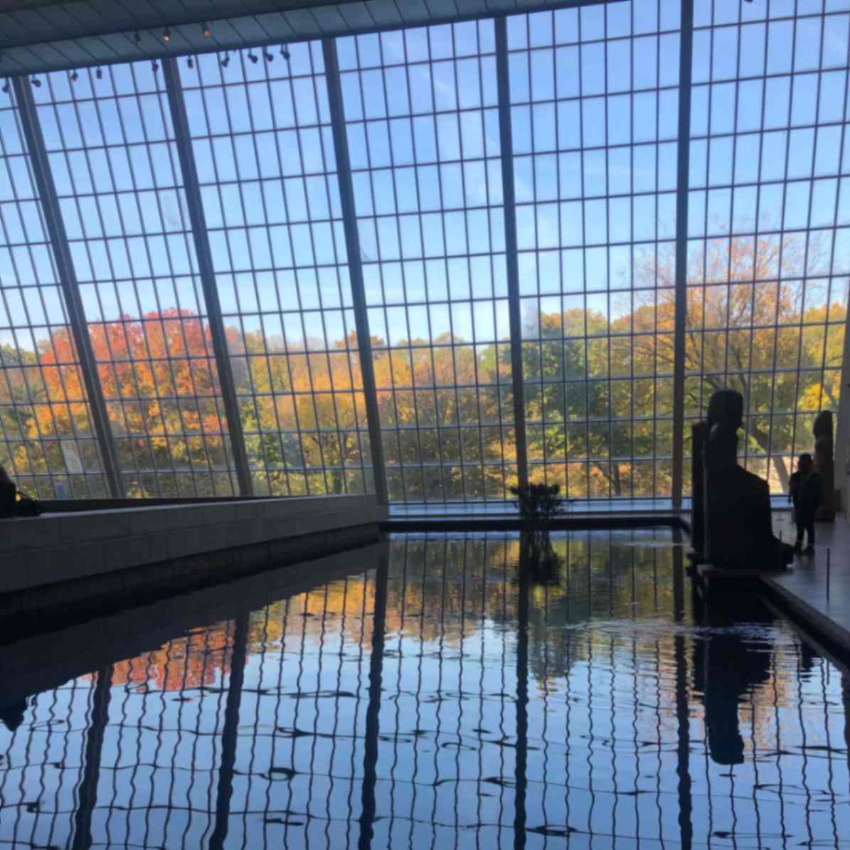 Sunlit museum hall with a massive glass wall, autumn trees outside, and their reflections rippling in the indoor pool.